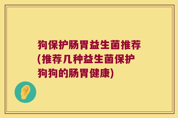 狗保护肠胃益生菌推荐(推荐几种益生菌保护狗狗的肠胃健康)