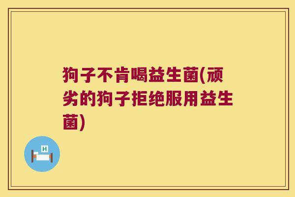 狗子不肯喝益生菌(顽劣的狗子拒绝服用益生菌)