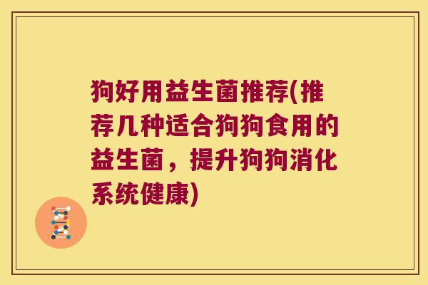 狗好用益生菌推荐(推荐几种适合狗狗食用的益生菌,提升狗狗消化系统健康) 狗好用益生菌推荐(推荐几种适合狗狗食用的益生菌,提升狗狗消化系统健康)
