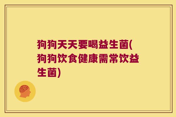 狗狗天天要喝益生菌(狗狗饮食健康需常饮益生菌)
