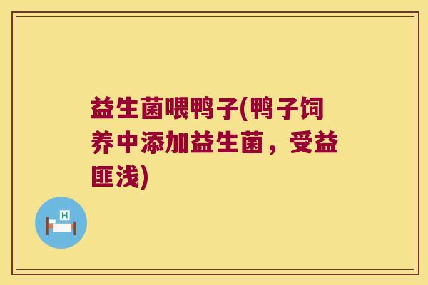 益生菌喂鸭子(鸭子饲养中添加益生菌，受益匪浅)