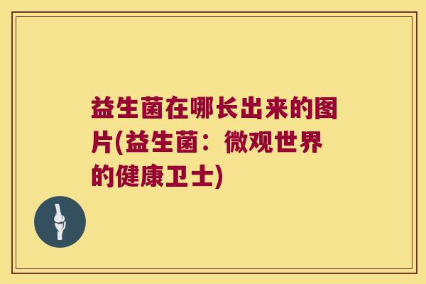 益生菌在哪长出来的图片(益生菌：微观世界的健康卫士)