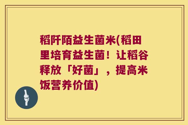 稻阡陌益生菌米(稻田里培育益生菌！让稻谷释放「好菌」，提高米饭营养价值)