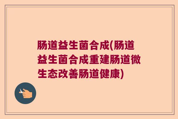 肠道益生菌合成(肠道益生菌合成重建肠道微生态改善肠道健康)