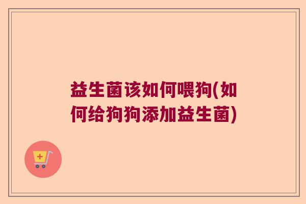 益生菌该如何喂狗(如何给狗狗添加益生菌)