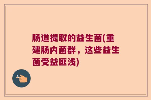 肠道提取的益生菌(重建肠内菌群，这些益生菌受益匪浅)