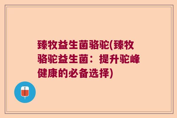 臻牧益生菌骆驼(臻牧骆驼益生菌:提升驼峰健康的必备选择) 臻牧益生菌骆驼(臻牧骆驼益生菌:提升驼峰健康的必备选择)
