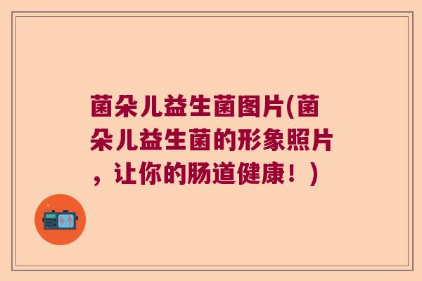 菌朵儿益生菌图片(菌朵儿益生菌的形象照片，让你的肠道健康！)