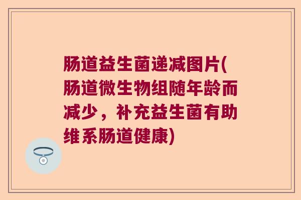肠道益生菌递减图片(肠道微生物组随年龄而减少，补充益生菌有助维系肠道健康)