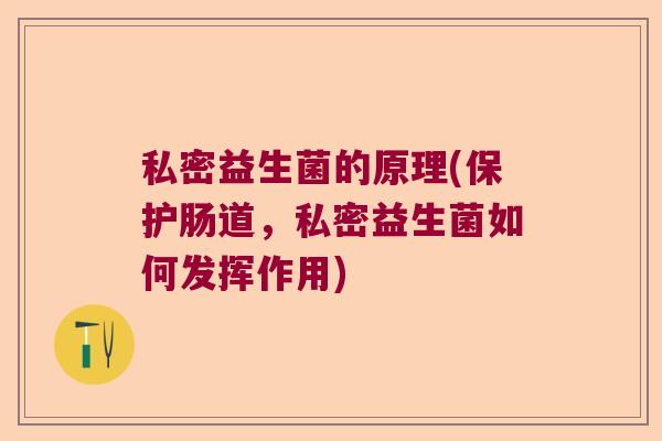 私密益生菌的原理(保护肠道，私密益生菌如何发挥作用)