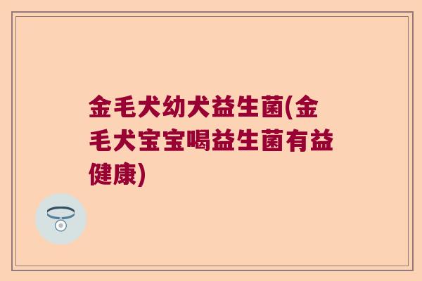 金毛犬幼犬益生菌(金毛犬宝宝喝益生菌有益健康) 金毛犬幼犬益生菌(金毛犬宝宝喝益生菌有益健康)