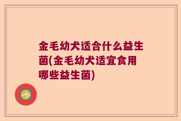 金毛幼犬适合什么益生菌(金毛幼犬适宜食用哪些益生菌)