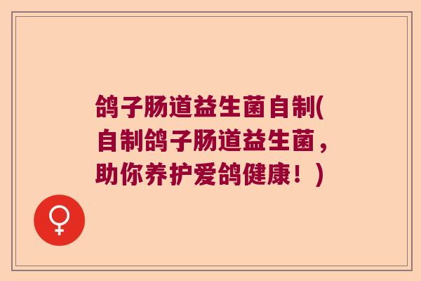 鸽子肠道益生菌自制(自制鸽子肠道益生菌,助你养护爱鸽健康!) 鸽子肠道益生菌自制(自制鸽子肠道益生菌,助你养护爱鸽健康!)