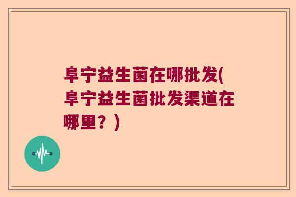 阜宁益生菌在哪批发(阜宁益生菌批发渠道在哪里？)