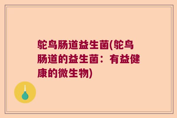 鸵鸟肠道益生菌(鸵鸟肠道的益生菌：有益健康的微生物)