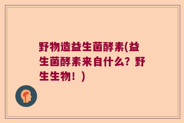 野物造益生菌酵素(益生菌酵素来自什么？野生生物！)