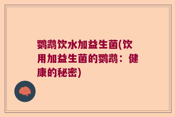鹦鹉饮水加益生菌(饮用加益生菌的鹦鹉:健康的秘密) 鹦鹉饮水加益生菌(饮用加益生菌的鹦鹉:健康的秘密)