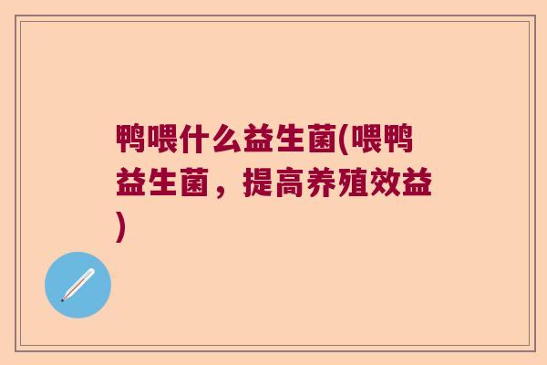鸭喂什么益生菌(喂鸭益生菌，提高养殖效益)