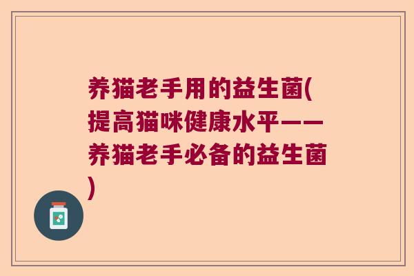 养猫老手用的益生菌(提高猫咪健康水平——养猫老手必备的益生菌)