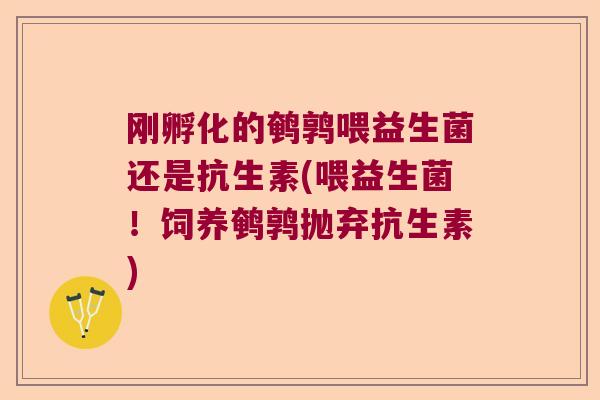 刚孵化的鹌鹑喂益生菌还是抗生素(喂益生菌！饲养鹌鹑抛弃抗生素)