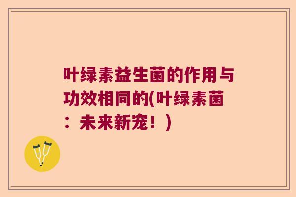 叶绿素益生菌的作用与功效相同的(叶绿素菌:未来新宠!) 叶绿素益生菌的作用与功效相同的(叶绿素菌:未来新宠!)