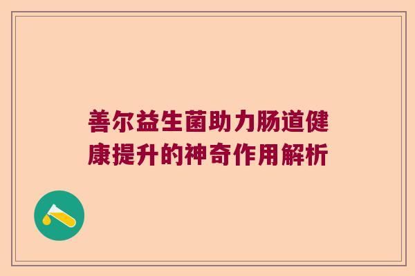 善尔益生菌助力肠道健康提升的神奇作用解析 善尔益生菌助力肠道健康提升的神奇作用解析