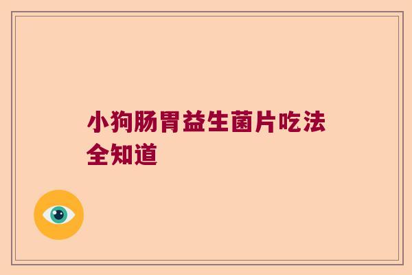 小狗肠胃益生菌片吃法全知道 小狗肠胃益生菌片吃法全知道