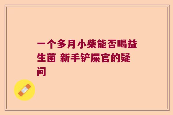 一个多月小柴能否喝益生菌 新手铲屎官的疑问