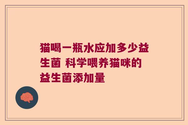 猫喝一瓶水应加多少益生菌 科学喂养猫咪的益生菌添加量 猫喝一瓶水应加多少益生菌 科学喂养猫咪的益生菌添加量