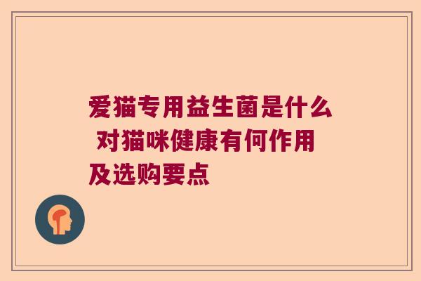 爱猫专用益生菌是什么 对猫咪健康有何作用及选购要点