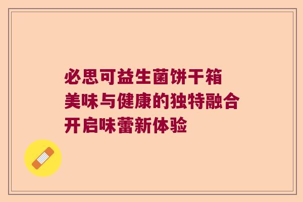 必思可益生菌饼干箱 美味与健康的独特融合开启味蕾新体验