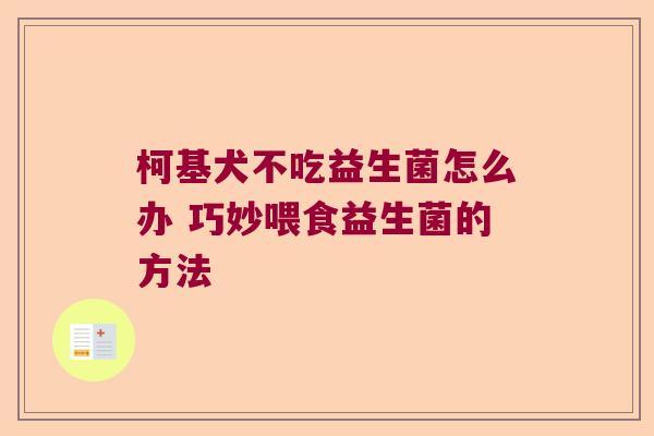 柯基犬不吃益生菌怎么办 巧妙喂食益生菌的方法