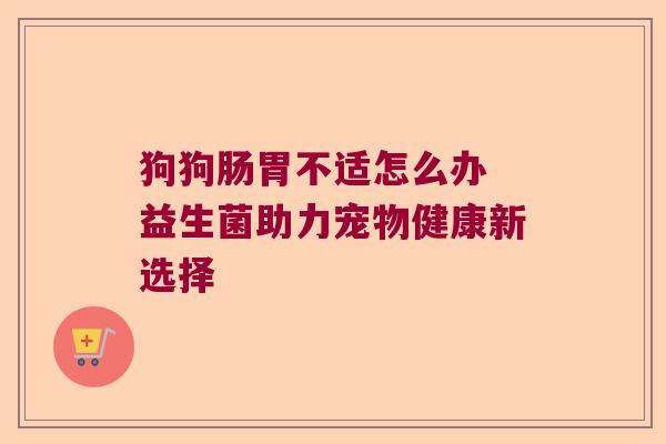 狗狗肠胃不适怎么办 益生菌助力宠物健康新选择
