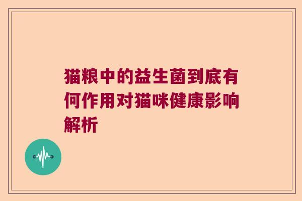 猫粮中的益生菌到底有何作用对猫咪健康影响解析