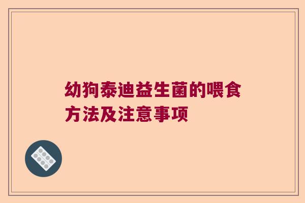 幼狗泰迪益生菌的喂食方法及注意事项