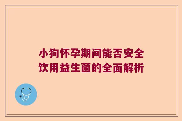 小狗怀孕期间能否安全饮用益生菌的全面解析