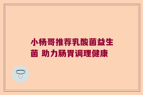 小杨哥推荐乳酸菌益生菌 助力肠胃调理健康 小杨哥推荐乳酸菌益生菌 助力肠胃调理健康