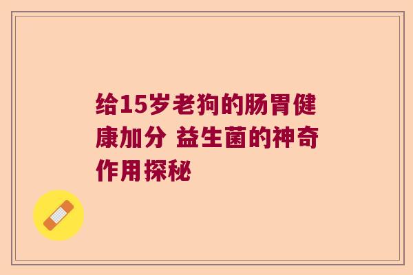给15岁老狗的肠胃健康加分 益生菌的神奇作用探秘