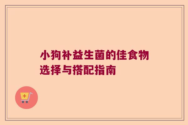 小狗补益生菌的佳食物选择与搭配指南