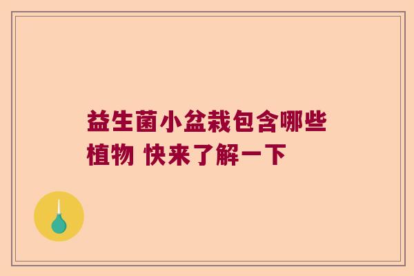 益生菌小盆栽包含哪些植物 快来了解一下