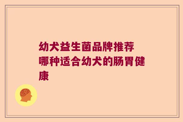 幼犬益生菌品牌推荐 哪种适合幼犬的肠胃健康