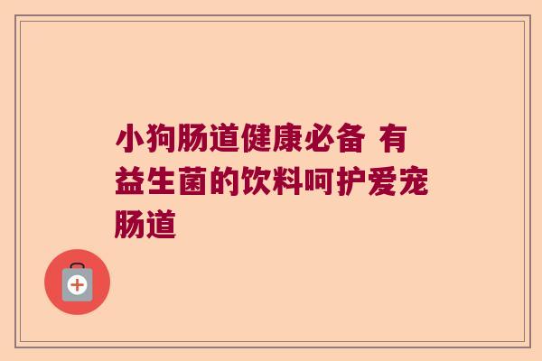小狗肠道健康必备 有益生菌的饮料呵护爱宠肠道 小狗肠道健康必备 有益生菌的饮料呵护爱宠肠道