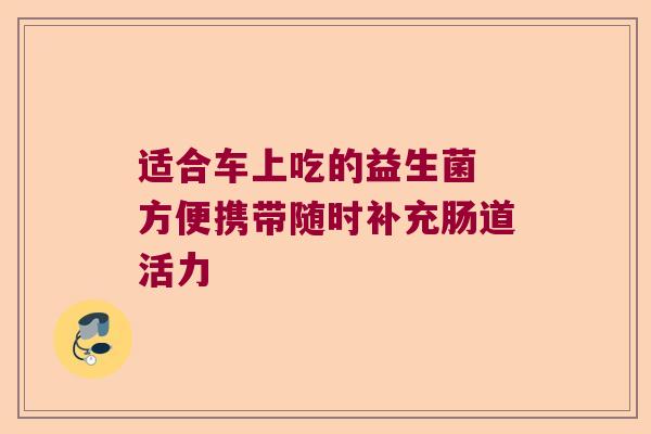 适合车上吃的益生菌 方便携带随时补充肠道活力 适合车上吃的益生菌 方便携带随时补充肠道活力