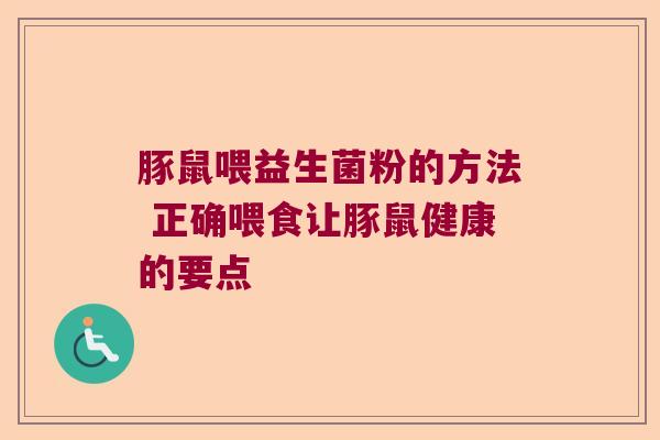 豚鼠喂益生菌粉的方法 正确喂食让豚鼠健康的要点