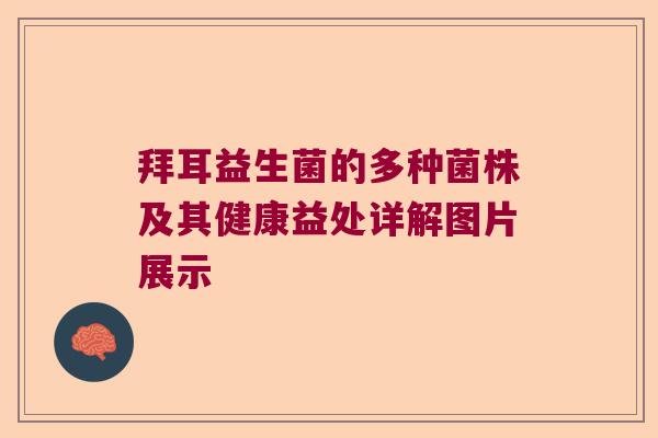 拜耳益生菌的多种菌株及其健康益处详解图片展示