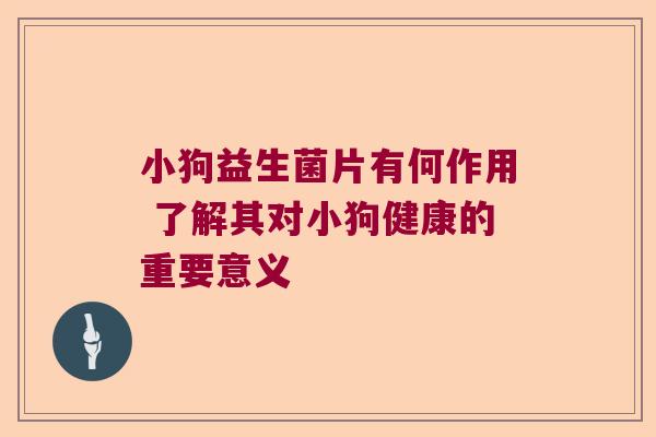 小狗益生菌片有何作用 了解其对小狗健康的重要意义
