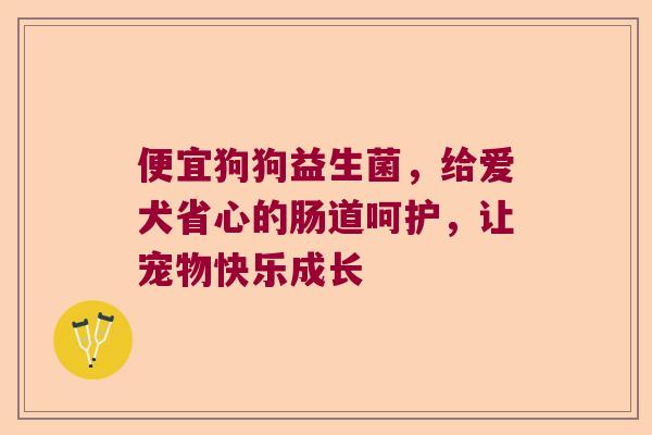 便宜狗狗益生菌，给爱犬省心的肠道呵护，让宠物快乐成长