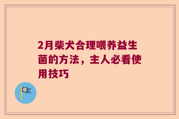 2月柴犬合理喂养益生菌的方法,主人必看使用技巧 2月柴犬合理喂养益生菌的方法,主人必看使用技巧
