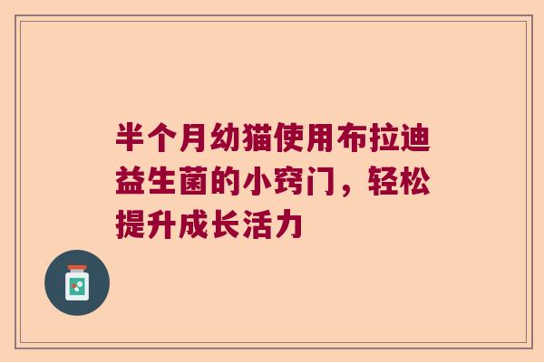 半个月幼猫使用布拉迪益生菌的小窍门，轻松提升成长活力