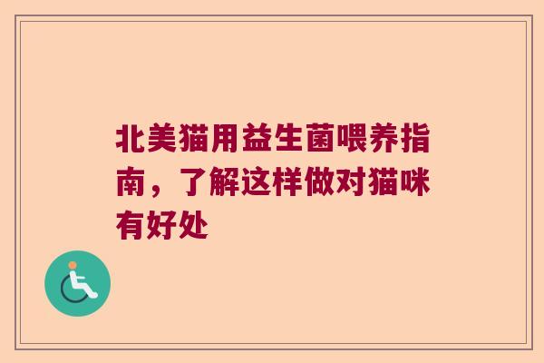北美猫用益生菌喂养指南，了解这样做对猫咪有好处